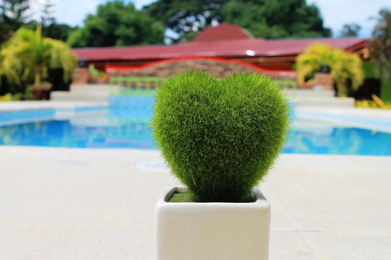 Green Park Tourist Inn Puerto Princesa Exteriör bild